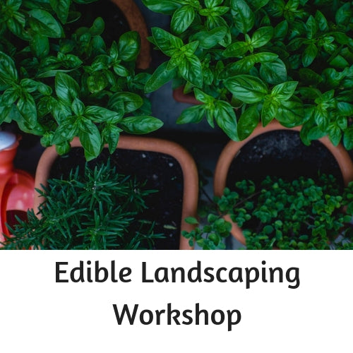 Organic Edible Landscaping Workshop - Oct 20th 10AM