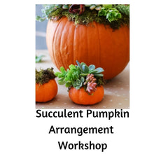 Succulent Pumpkin Arrangment Make-N-Take - Oct. 21st